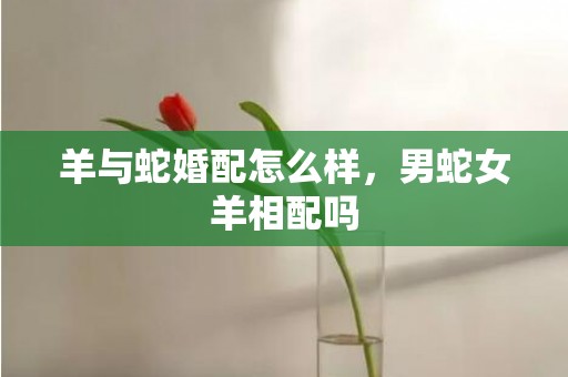 羊与蛇婚配怎么样，男蛇女羊相配吗