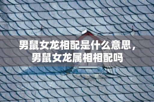 男鼠女龙相配是什么意思，男鼠女龙属相相配吗
