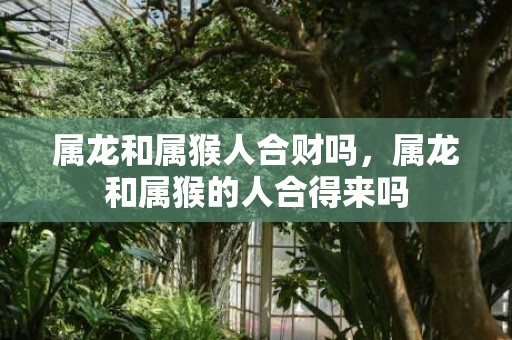 属龙和属猴人合财吗，属龙和属猴的人合得来吗