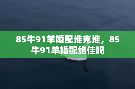 85牛91羊婚配谁克谁，85牛91羊婚配绝佳吗