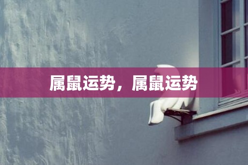 属鼠运势，属鼠运势