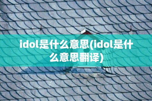 idol是什么意思(idol是什么意思翻译)