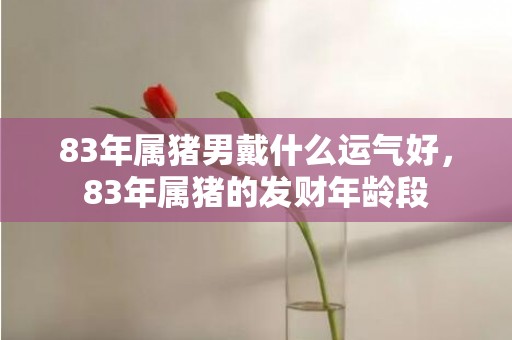 83年属猪男戴什么运气好，83年属猪的发财年龄段