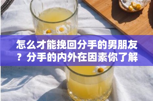 怎么才能挽回分手的男朋友？分手的内外在因素你了解吗？