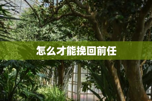怎么才能挽回前任