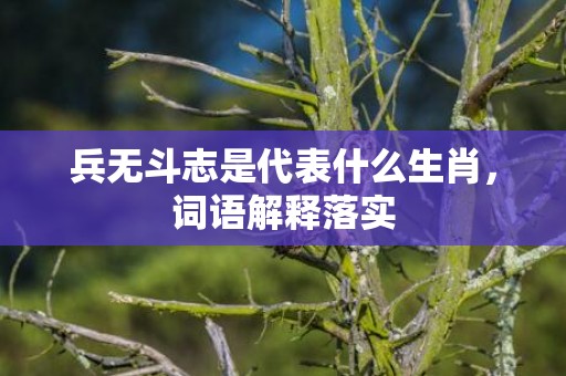 兵无斗志是代表什么生肖，词语解释落实