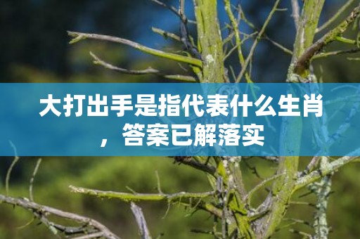 大打出手是指代表什么生肖，答案已解落实