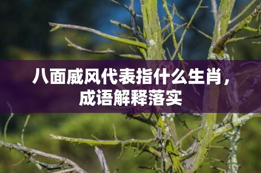 八面威风代表指什么生肖，成语解释落实
