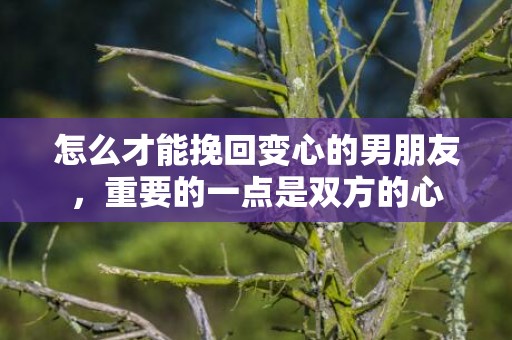 怎么才能挽回变心的男朋友，重要的一点是双方的心