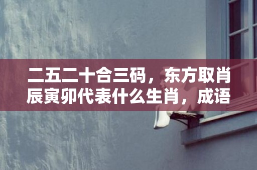 二五二十合三码，东方取肖辰寅卯代表什么生肖，成语解析落实