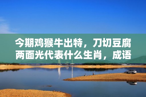今期鸡猴牛出特，刀切豆腐两面光代表什么生肖，成语解析落实