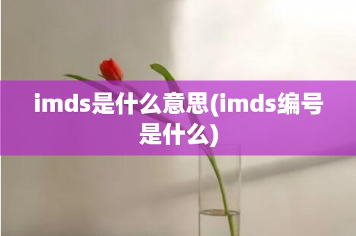 imds是什么意思(imds编号是什么)