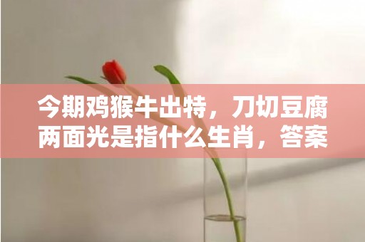 今期鸡猴牛出特，刀切豆腐两面光是指什么生肖，答案解释落实