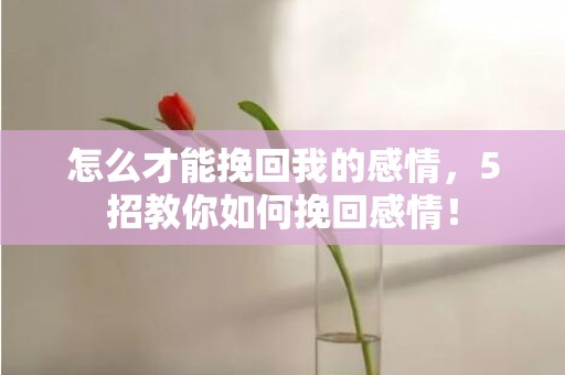 怎么才能挽回我的感情，5招教你如何挽回感情！