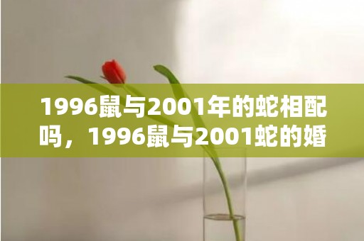 1996鼠与2001年的蛇相配吗，1996鼠与2001蛇的婚姻相配吗