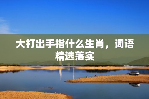 大打出手指什么生肖，词语精选落实