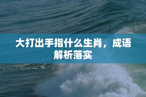 大打出手指什么生肖，成语解析落实