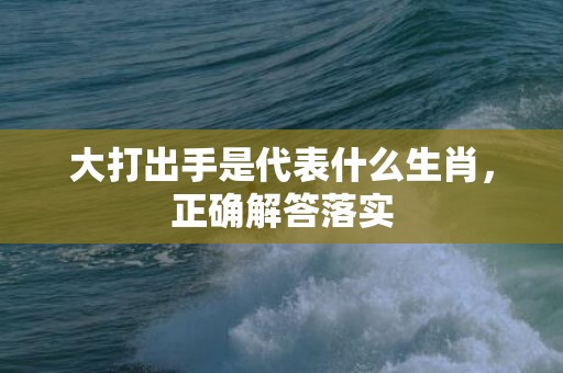 大打出手是代表什么生肖，正确解答落实