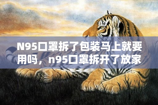 N95口罩拆了包装马上就要用吗，n95口罩拆开了放家里暴露在空气中还能戴吗