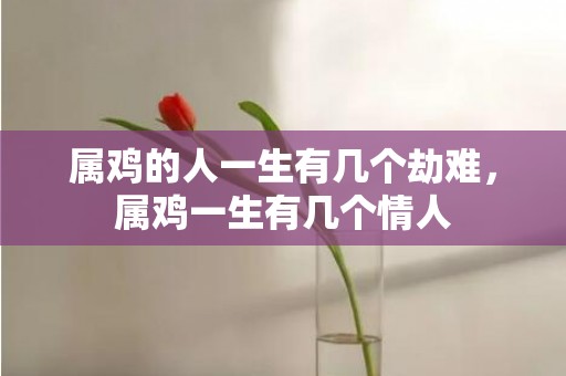 属鸡的人一生有几个劫难，属鸡一生有几个情人