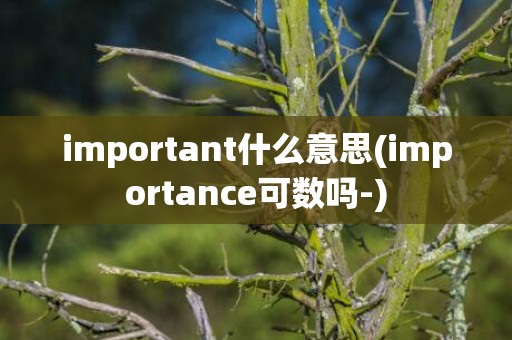 important什么意思(importance可数吗-)