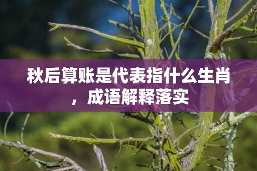 秋后算账是代表指什么生肖，成语解释落实