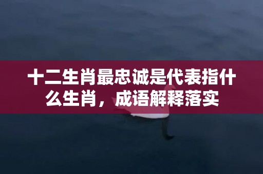 十二生肖最忠诚是代表指什么生肖，成语解释落实