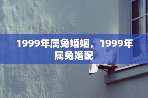 1999年属兔婚姻，1999年属兔婚配