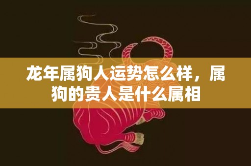 龙年属狗人运势怎么样，属狗的贵人是什么属相