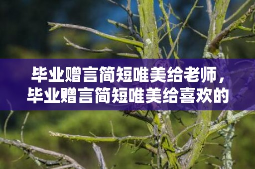 毕业赠言简短唯美给老师，毕业赠言简短唯美给喜欢的人，毕业给喜欢的人的话