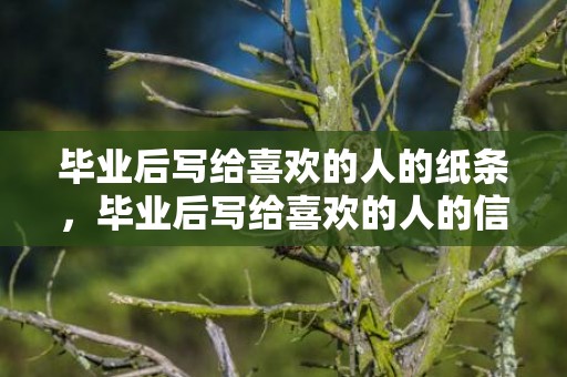 毕业后写给喜欢的人的纸条，毕业后写给喜欢的人的信800字 毕业给喜欢的人的话
