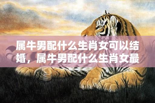 属牛男配什么生肖女可以结婚，属牛男配什么生肖女最好