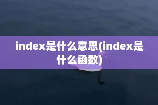 index是什么意思(index是什么函数)