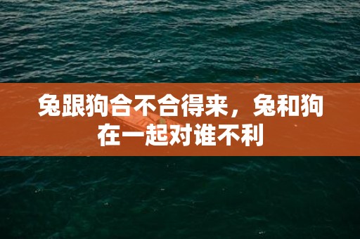 兔跟狗合不合得来，兔和狗在一起对谁不利