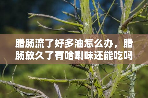 腊肠流了好多油怎么办，腊肠放久了有哈喇味还能吃吗