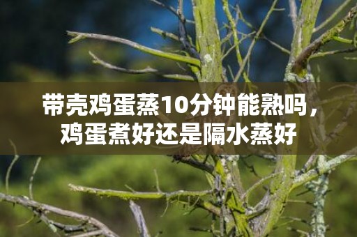 带壳鸡蛋蒸10分钟能熟吗，鸡蛋煮好还是隔水蒸好