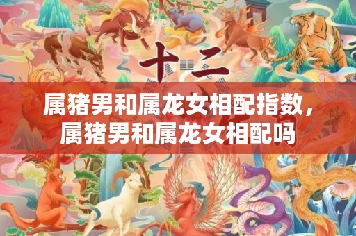 属猪男和属龙女相配指数，属猪男和属龙女相配吗