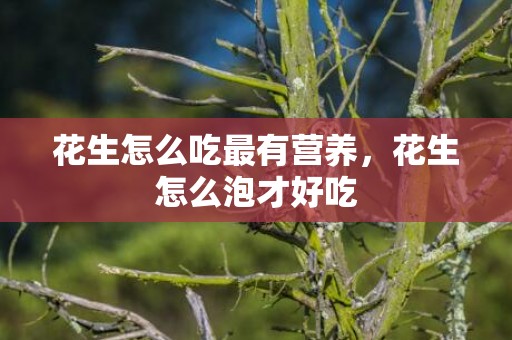 花生怎么吃最有营养，花生怎么泡才好吃