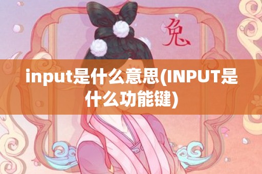 input是什么意思(INPUT是什么功能键)