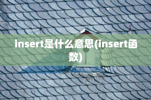 insert是什么意思(insert函数)