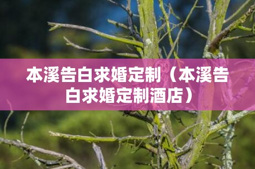 本溪告白求婚定制（本溪告白求婚定制酒店）