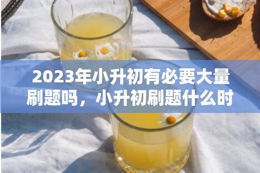 2023年小升初有必要大量刷题吗，小升初刷题什么时候刷比较好