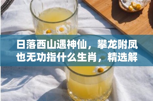 日落西山遇神仙，攀龙附凤也无功指什么生肖，精选解释落实