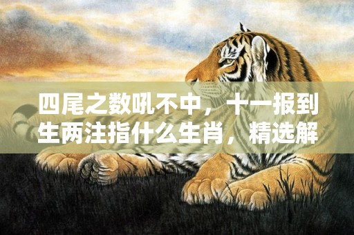 四尾之数吼不中，十一报到生两注指什么生肖，精选解释落实
