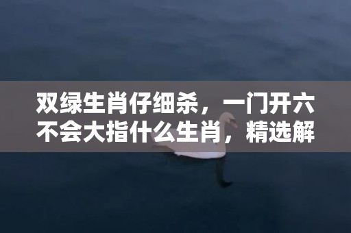 双绿生肖仔细杀，一门开六不会大指什么生肖，精选解释落实