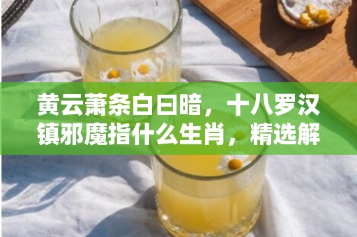 黄云萧条白曰暗，十八罗汉镇邪魔指什么生肖，精选解释落实