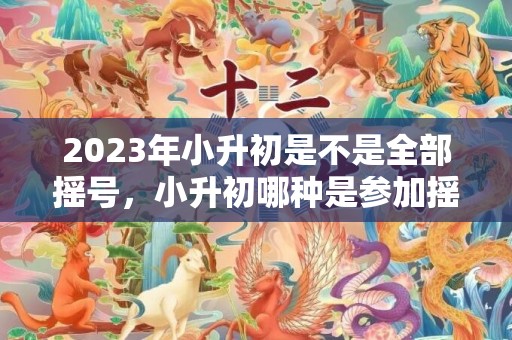 2023年小升初是不是全部摇号，小升初哪种是参加摇号的