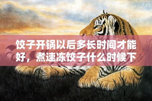 饺子开锅以后多长时间才能好，煮速冻饺子什么时候下锅