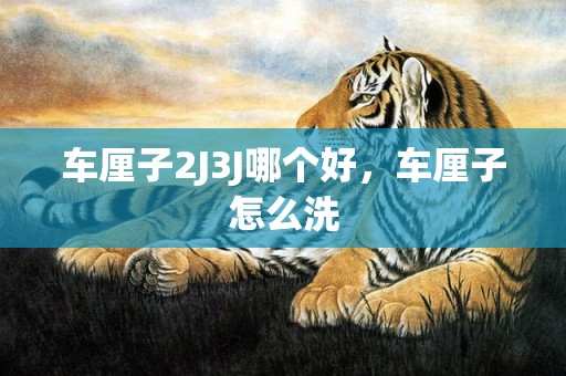 车厘子2J3J哪个好，车厘子怎么洗