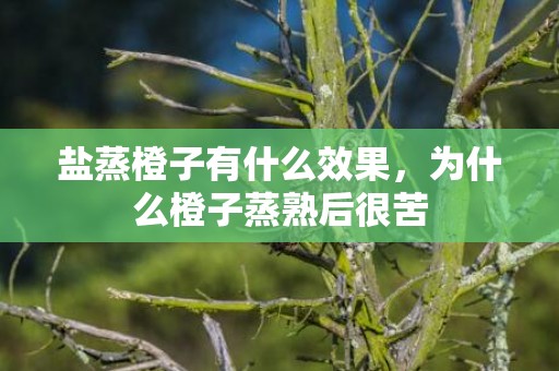 盐蒸橙子有什么效果，为什么橙子蒸熟后很苦